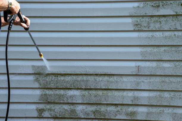 Best Wood Siding Installation  in Mec, CA
