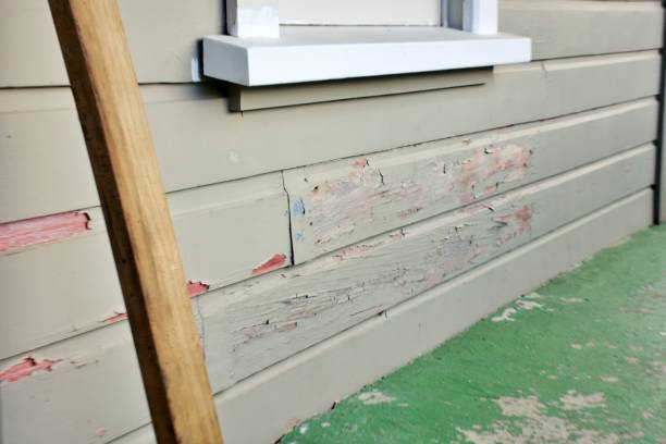 Best Storm Damage Siding Repair  in Mec, CA